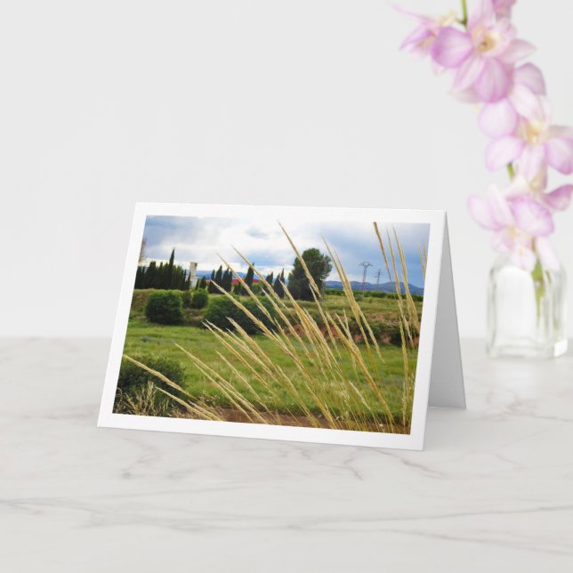 Wild Country Grass Landscape Card (Orchid)