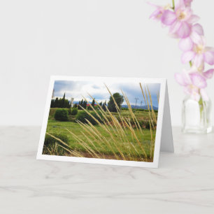 Wild Country Grass Landscape Card
