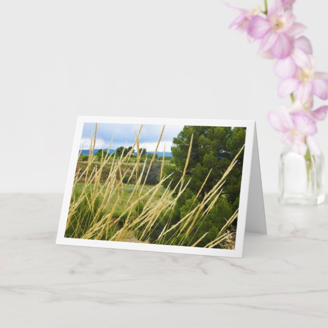 Wild Country Grass Landscape Card (Orchid)