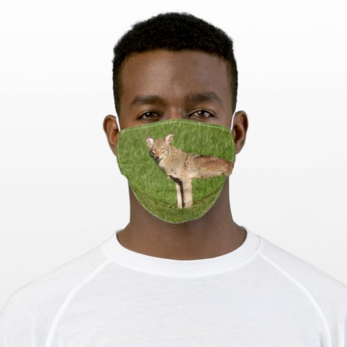 Wild Coyote  Adult Cloth Face Mask