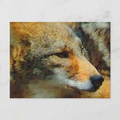 Wild Coyote Photo Painting Postcard