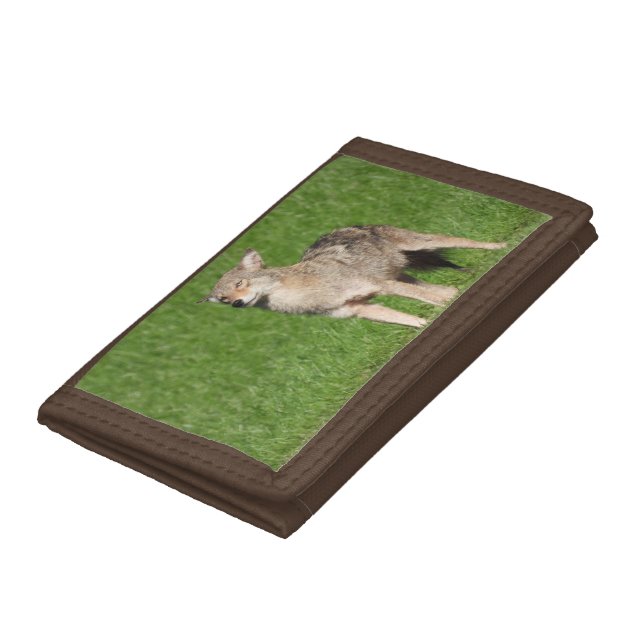 Wild Coyote  Tri-fold Wallet (Bottom)