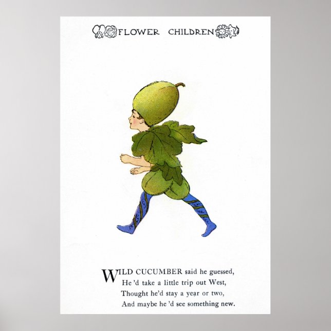 Wild Cucumber Poster (Front)