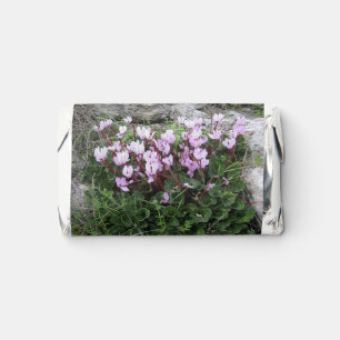 Wild Cyclamen Hershey's Miniatures