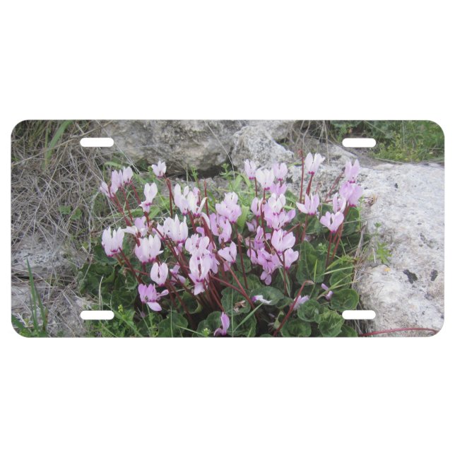 Wild Cyclamen License Plate (Front)
