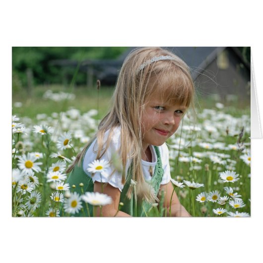 Wild Daisies Cards (Front Horizontal)