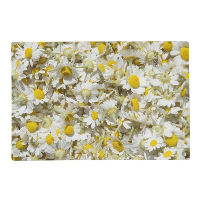 Wild daisies pattern placemat (Front)