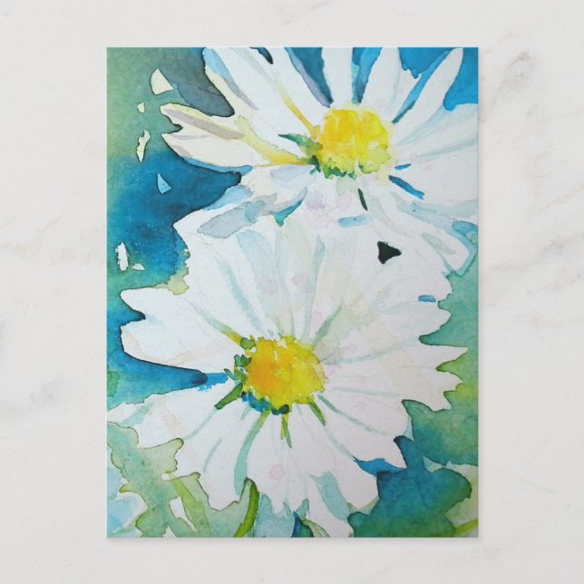 Wild Daisies Postcard (Front)
