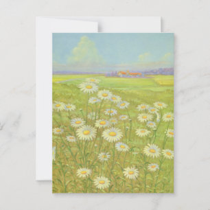 Wild Daisy by Cargill, 1937 Postcard