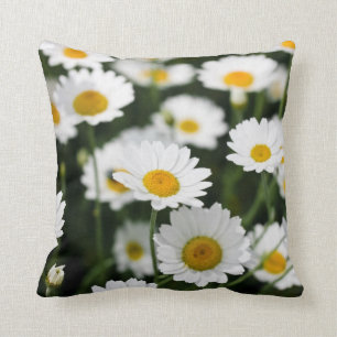Wild daisy flowers close up throw pillow