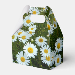Wild Daisy Party Favor Box