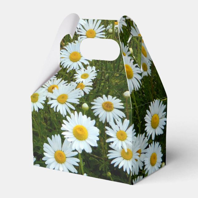Wild Daisy Party Favor Box (Front Side)