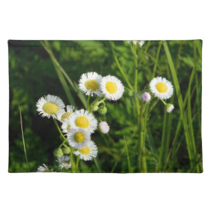 Wild Daisy Placemat