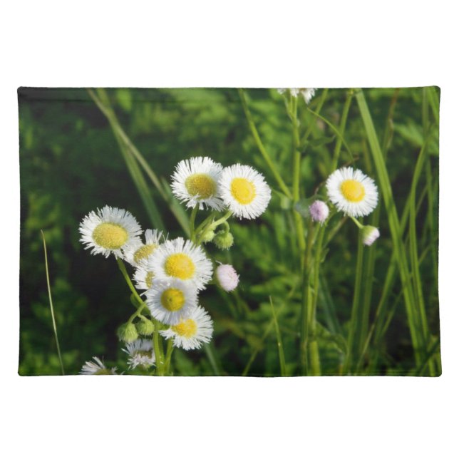 Wild Daisy Placemat (Front)