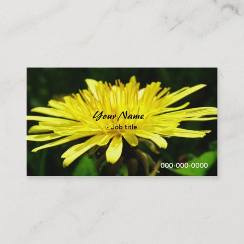 wild dandelion flowers. business card template
