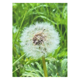 Wild Dandelion Romania Botanical Macro Photograpy Tablecloth