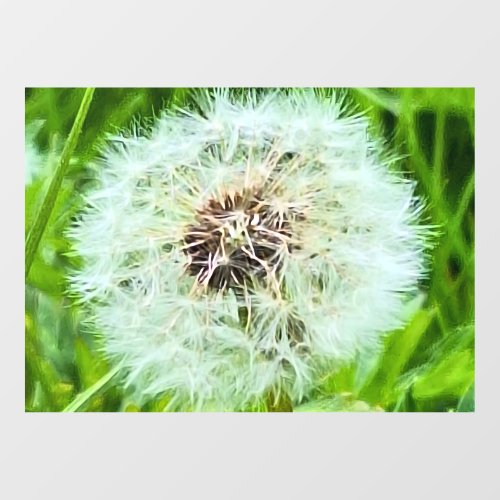Wild Dandelion Romania Botanical Macro Photograpy Window Cling