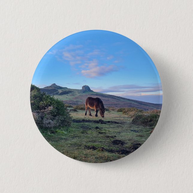 Wild Dartmoor Pony Horse Button (Front)