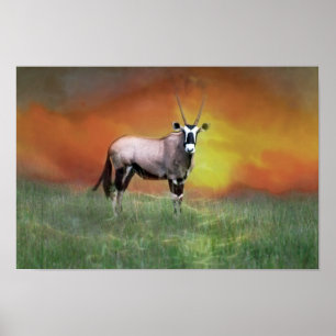 Wild deer at sunset poster