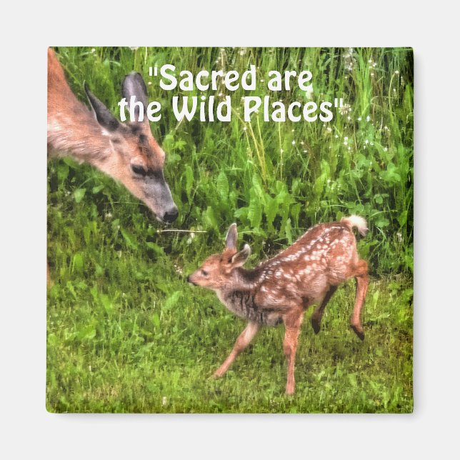 Wild Deer Fawn Wildlife for Outdoor-lovers Magnet (Front)