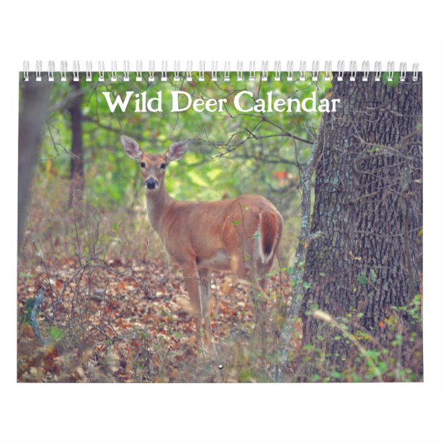 Wild Deer Nature Calendar (Cover)