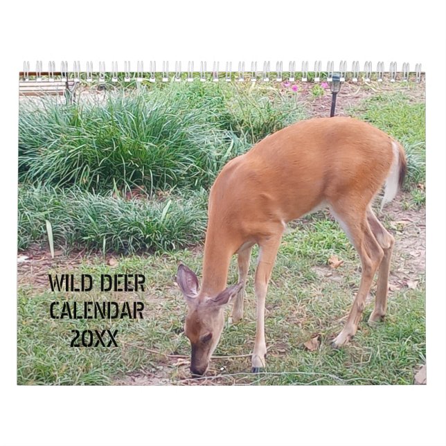 Wild Deer Photography Calendar (Cover)