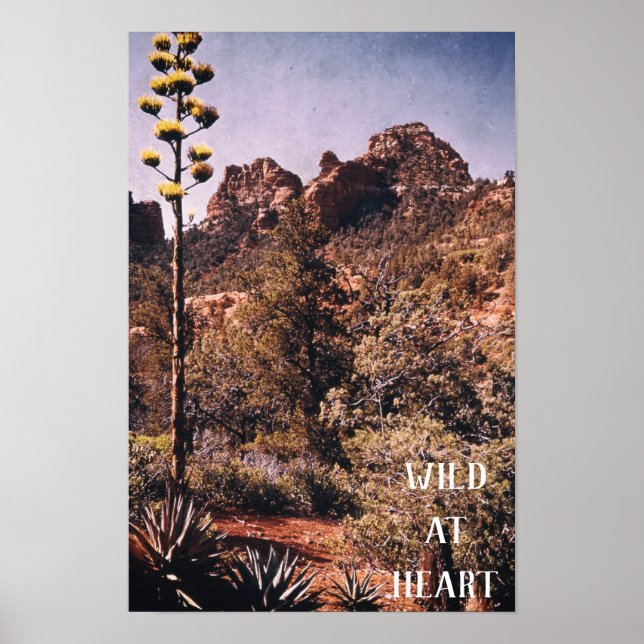 Wild Desert Cactus Explore Nature Wilderness Poster (Front)