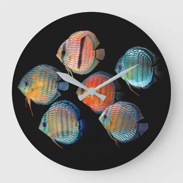 Wild Discus fish Large Clock | Zazzle