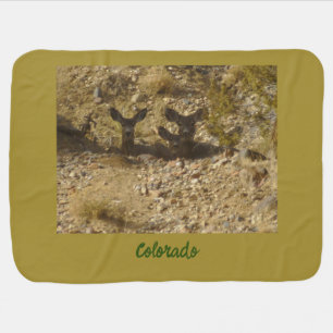 Wild Does Baby Blanket