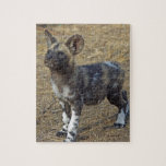 Wild Dog Puppy Jigsaw Puzzle<br><div class="desc">Close-up of African wild dog puppy. We saw six African Wild Dog puppies at their den when they were only six weeks old. Two adult dogs were left to babysit while the rest of the pack was away. These youngsters had a wonderful time tumbling all over each other, biting, pouncing,...</div>