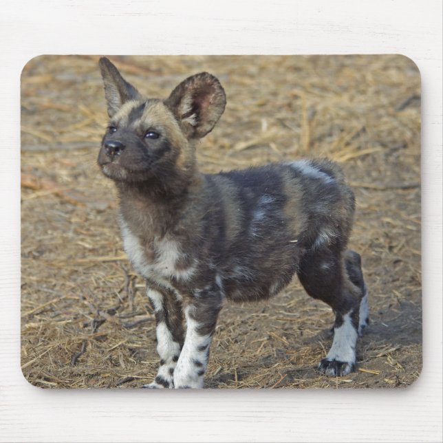 Wild Dog Puppy Mouse Pad (Front)