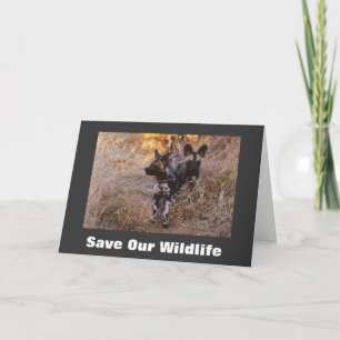 Wild Dogs Save Our Wildlife Greeting Card