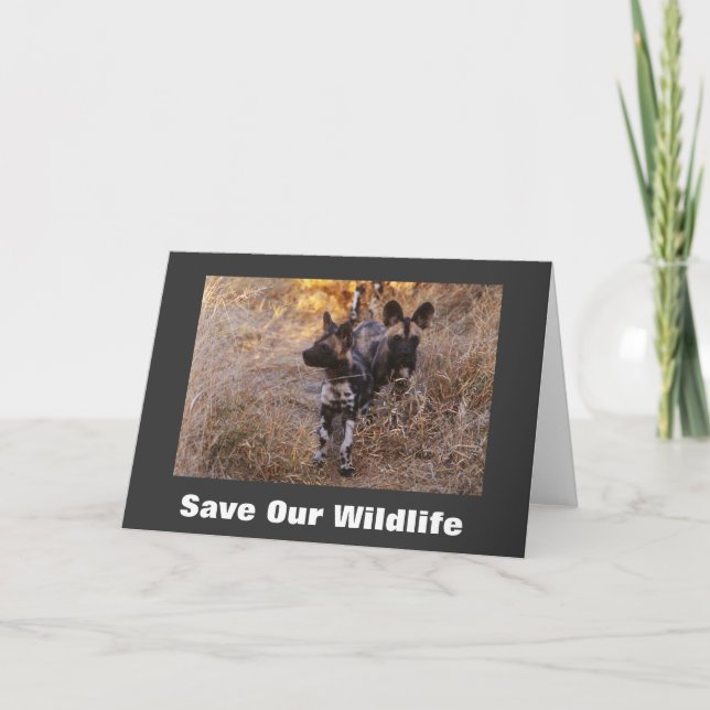 Wild Dogs Save Our Wildlife Greeting Card (Front)