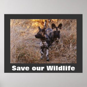Wild Dogs Save Our Wildlife Poster