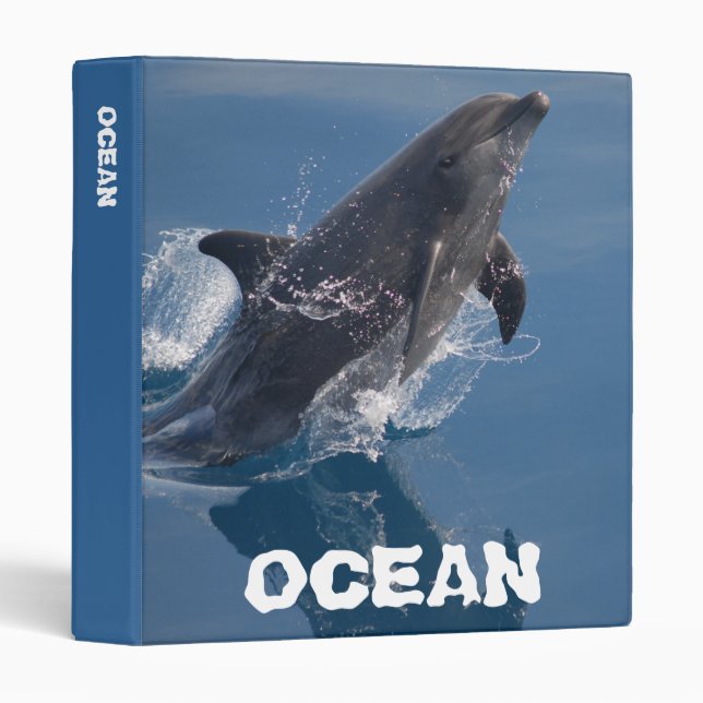 Wild dolphin 3 ring binder (Front/Spine)