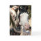 Wild Dreams and Feathers "Mustang Meg" WILD CARD