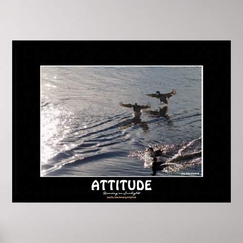 Wild Duck ATTITUDE Motivational Nature Photo Print