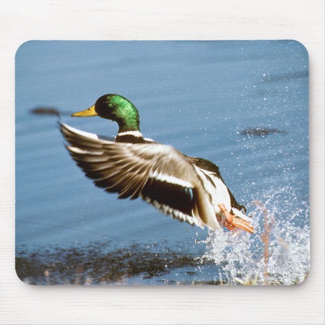 Wild Duck – Mouse Pad (Front)