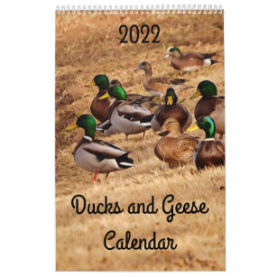 Wild Ducks and Geese Calendar 2022