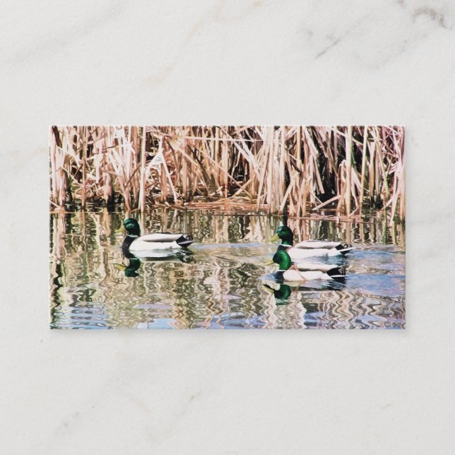 WILD DUCKS BUSINESS CARD (Front)