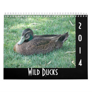 Wild Ducks Calendar