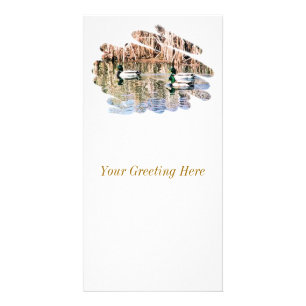 WILD DUCKS CARD