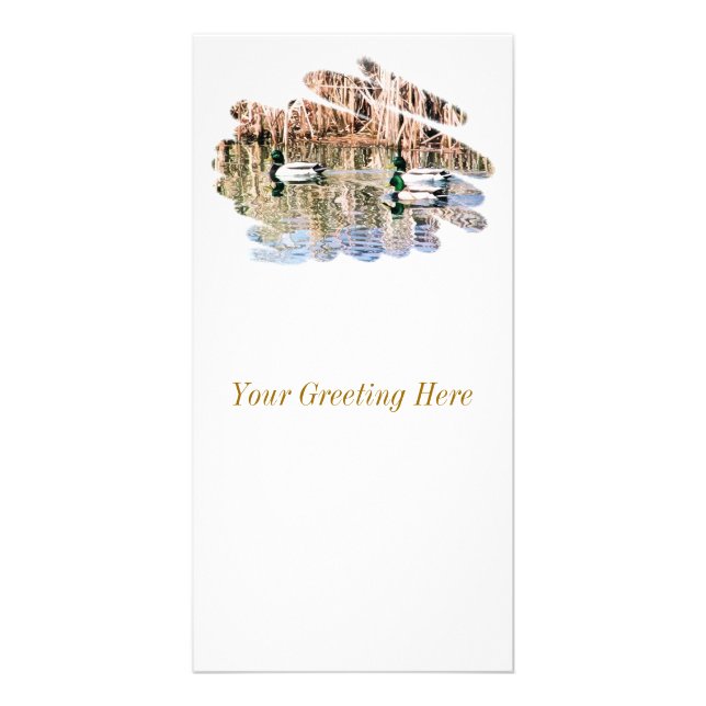 WILD DUCKS CARD (Front)