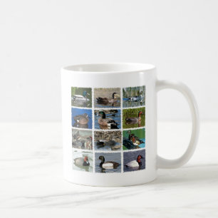 Wild Ducks of North America Coffee Mug