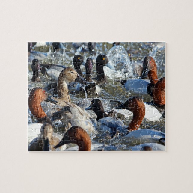 Wild Ducks Spashing Jigsaw Puzzle (Horizontal)