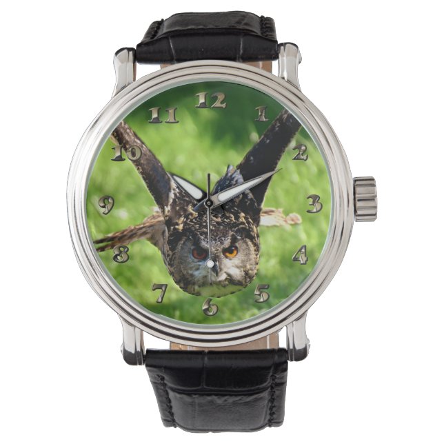 Wild Eagle Owl in Full Flight Watch (Front)