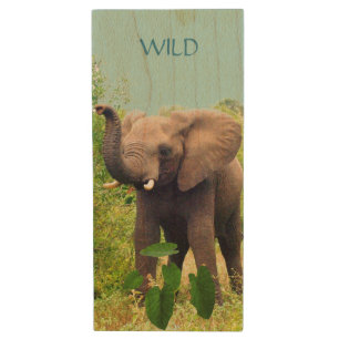 Wild elephant animal and tropical plants wood flash drive