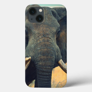Wild Elephant Close Up iPad Air case