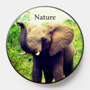 Wild Elephant on the Forest PopSocket