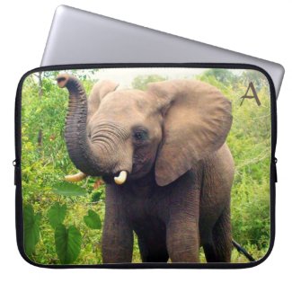 Wild elephant with tropical plants & monogram